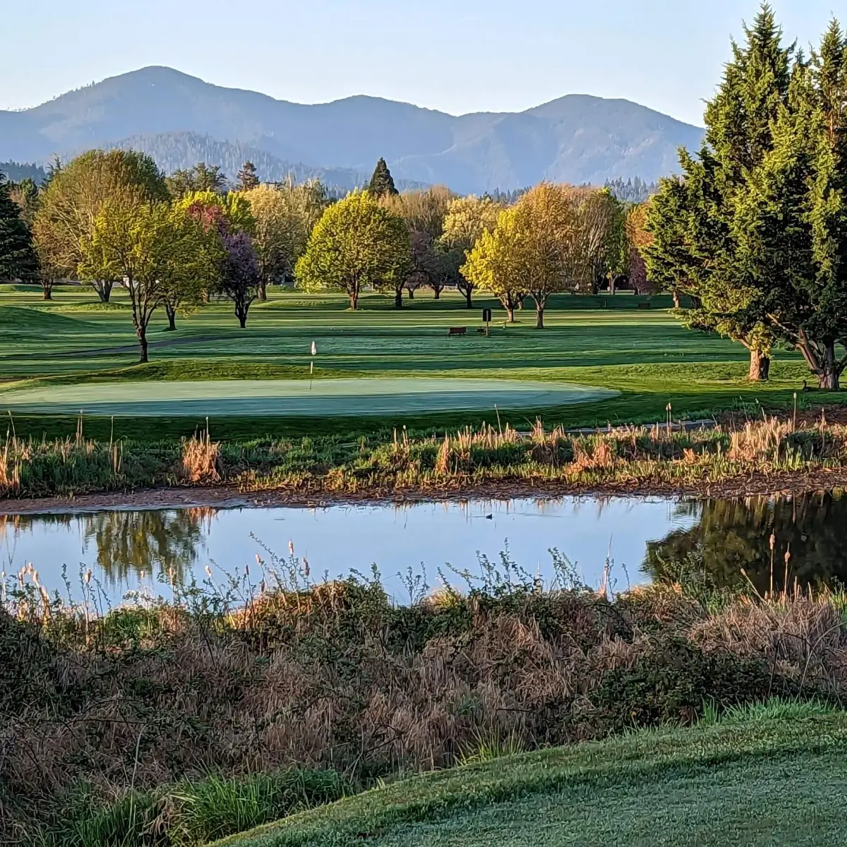 Tournaments Dutcher Creek Golf Course